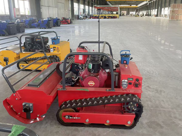 Diesel version 1000S